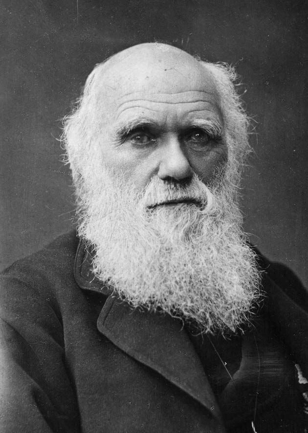 Portrait de Charles Darwin réalisé en 1881 par Herbert Rose Barraud.
