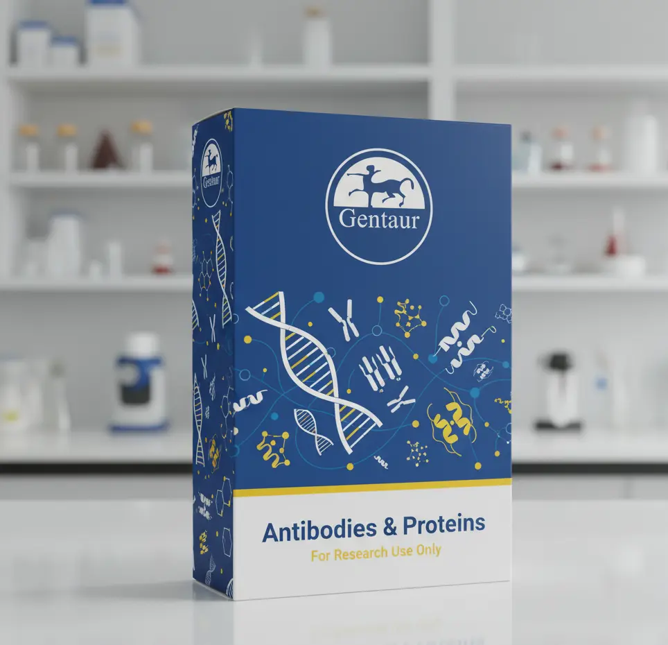 Anti CML Monoclonal Antibody (Clone No. CMS-10) 50ug