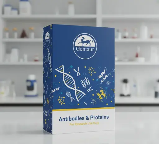 [0513-CABT-B8990] Anti-T7 RNA Polymerase antibody, 100 ul