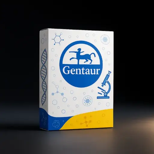 [0563-CTK-R0224C] CMV IgG/IgM Rapid Test, 30 tests/Test